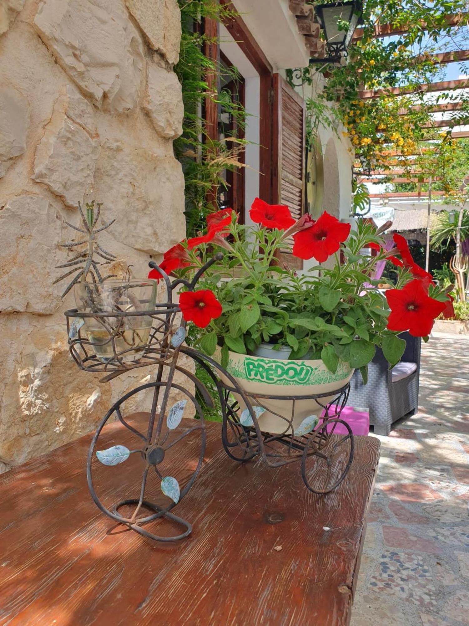 דניה Hostal Mi Campana מראה חיצוני תמונה