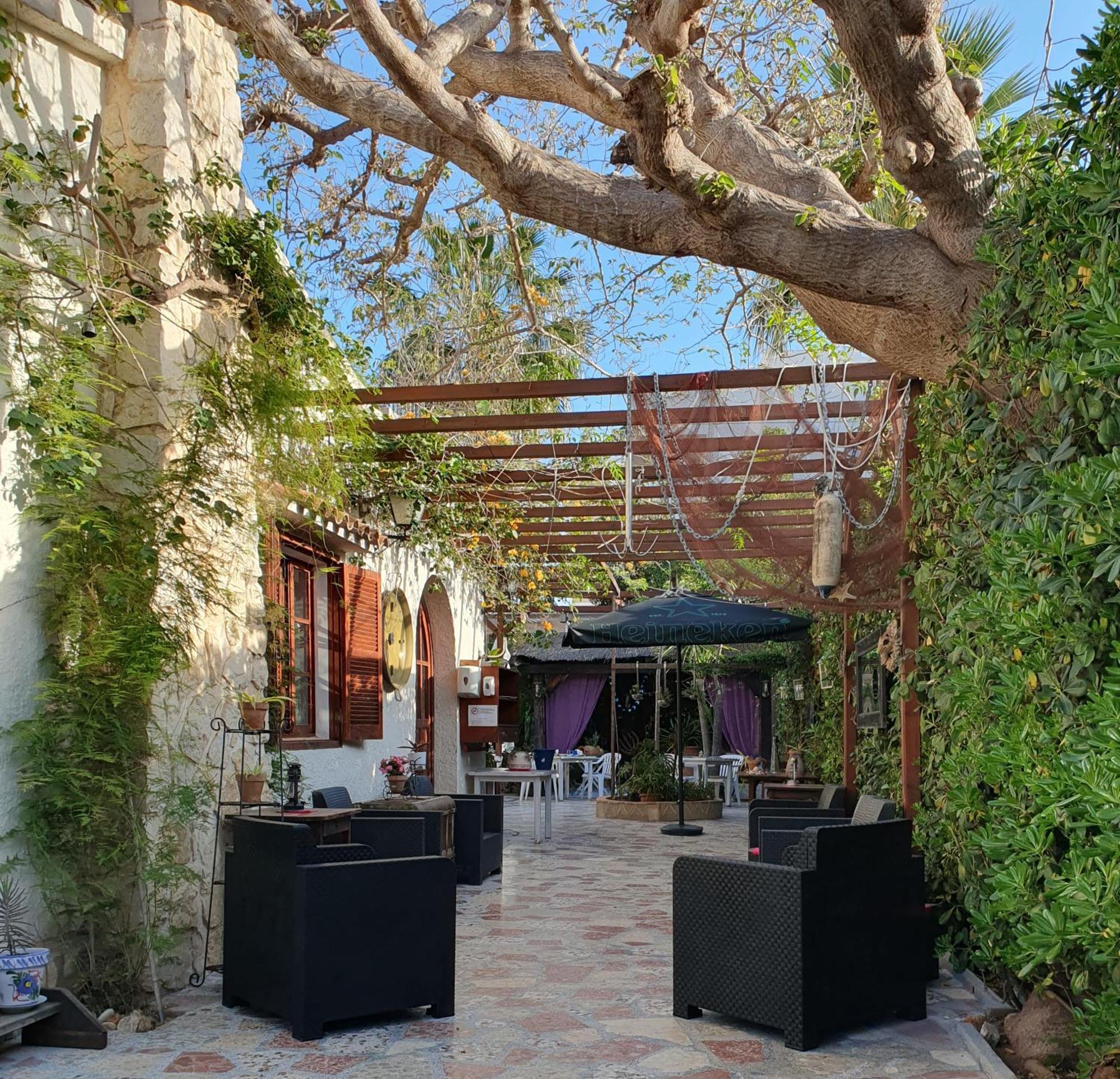 דניה Hostal Mi Campana מראה חיצוני תמונה